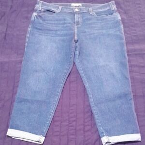 Levi Strauss Signature Boyfriend Women's Blue Jeans